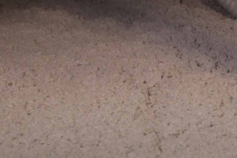 ouate de cellulose