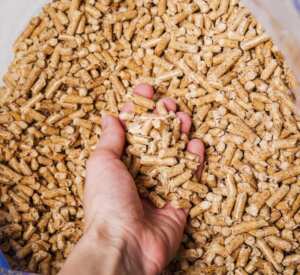 granulés de bois pellets
